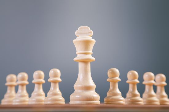 Senjorų šachmatų turnyras
