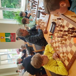 Vitalijaus Majorovo atminimo šachmatų turnyras