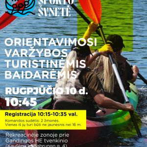 Vikingai grįžta!