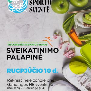 Vikingai grįžta!