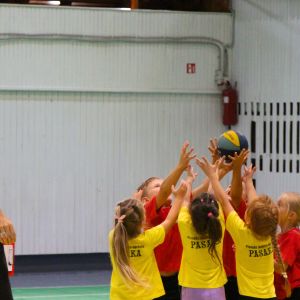 Plungėje startavo pirmoji darželinukų krepšinio lyga 6